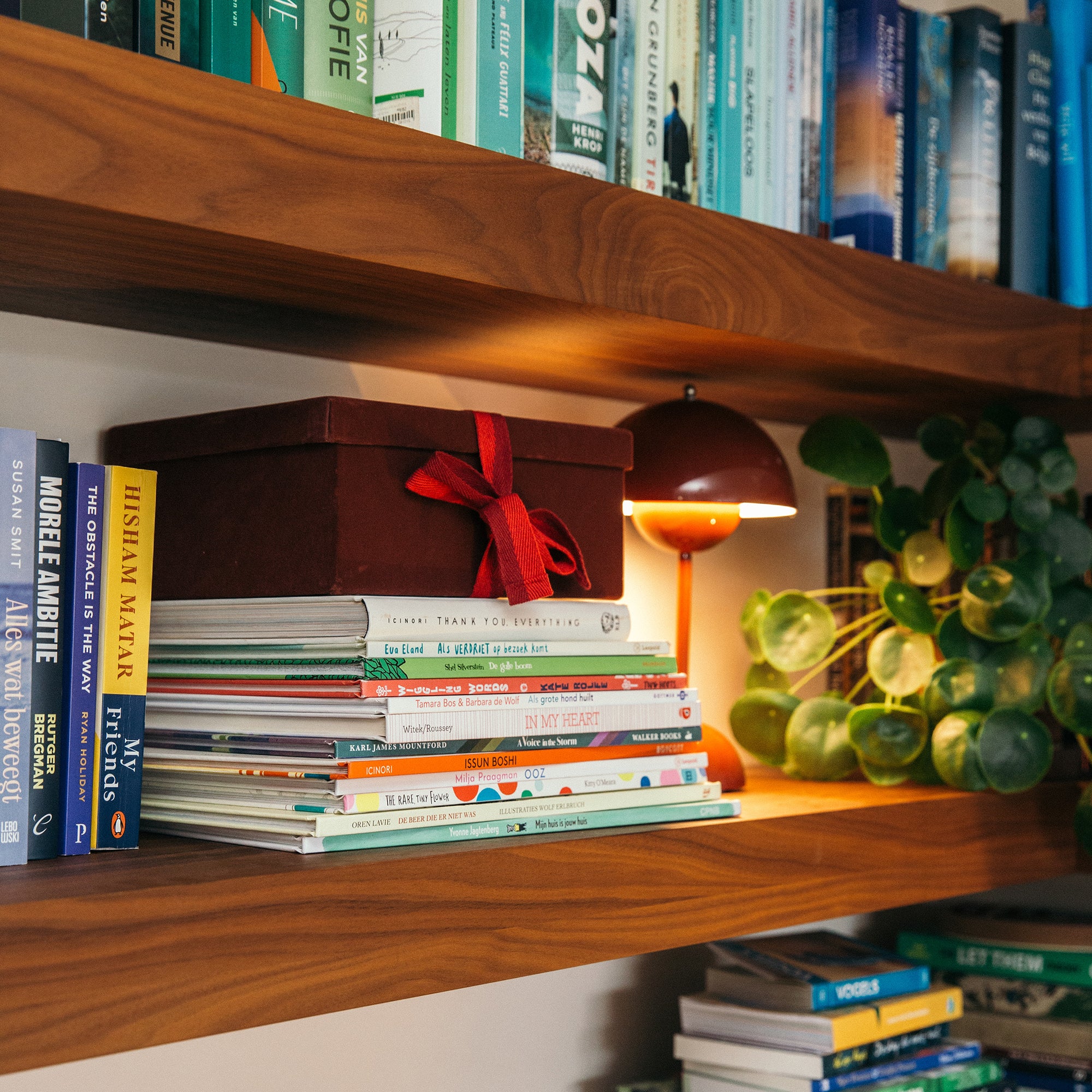 De Life. Archive herinneringendoos staat stijlvol tussen de boeken in de kast, om dierbare spullen dichtbij te houden.